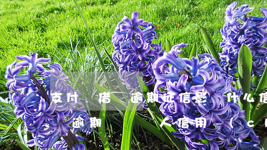 支付寶借唄逾期征信影響什么信用，支付寶借唄逾期：會對個人信用產(chǎn)生哪些影響？